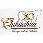 http://xodechihuahua.net